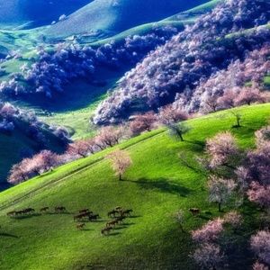 Meet your Posher, Ella